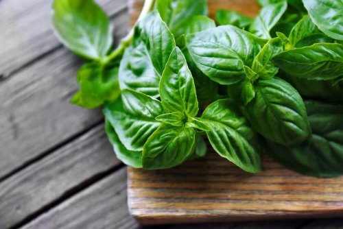 40 mogelijke gezondheidsvoordelen van basilicum
