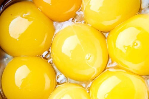Meerdere eierdooiers