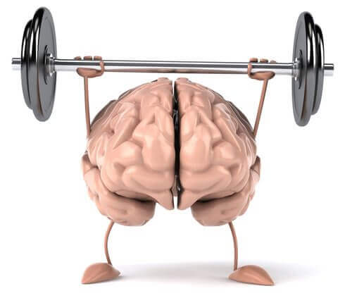 Hersenen aan het gewichtheffen