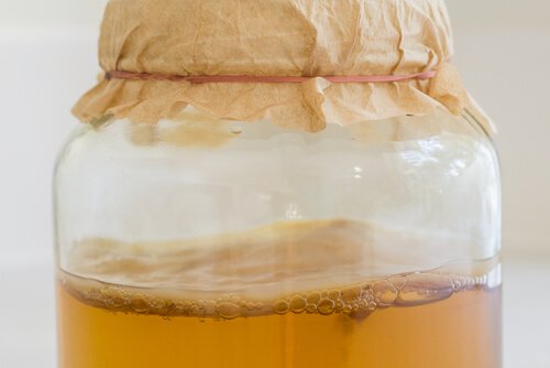 Kombucha