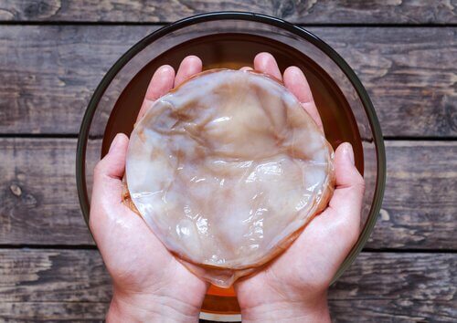 Kombucha-zwam