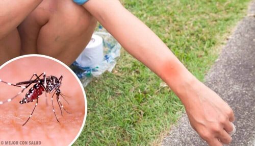Wat gebeurt er wanneer je een muggenbeet krijgt?