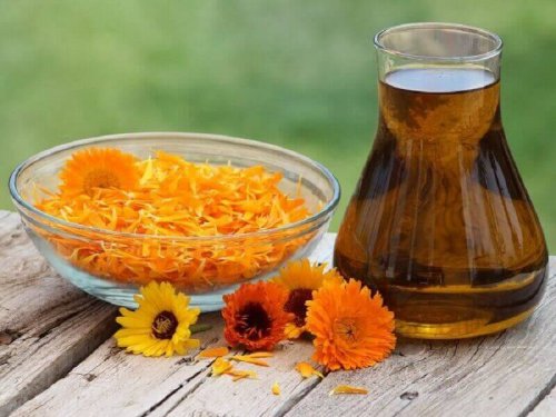 Calendula