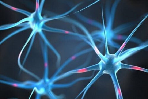 De risico's van een tekort aan vitamine B