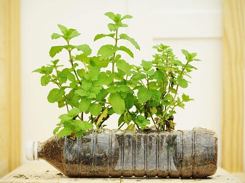 Een miniatuurtuintje met plastic flessen