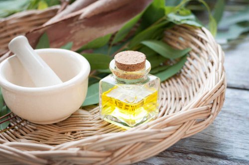 Eucalyptusolie