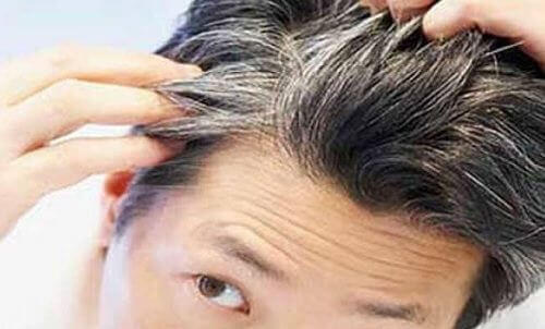 Geconcentreerde remedie van rozemarijn tegen grijze haren
