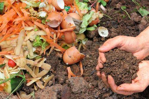 5 manieren om natuurlijke compost te maken