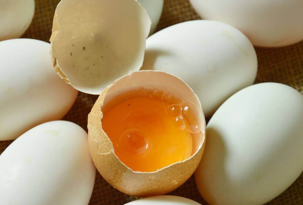 eierschaal met dooier