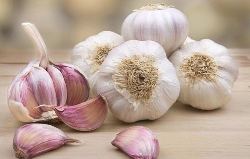 knoflook en teentjes knoflook