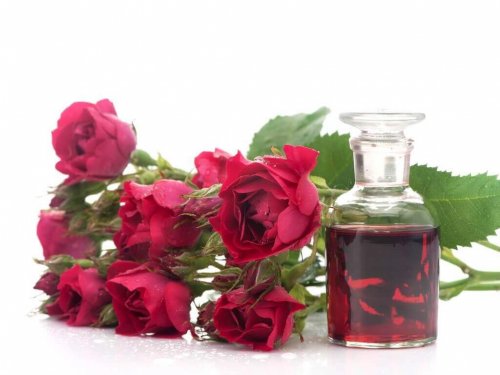 Camellia-olie is rijk aan omega 6-vetzuren