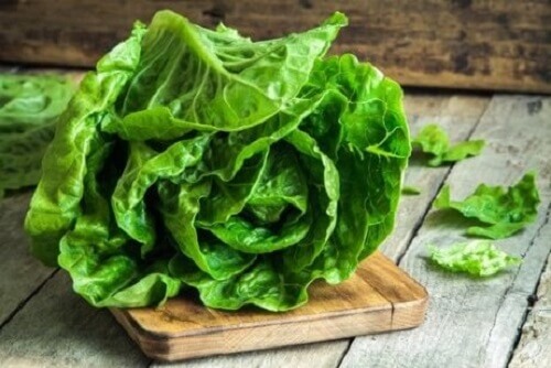 Recepten voor wraps met sla