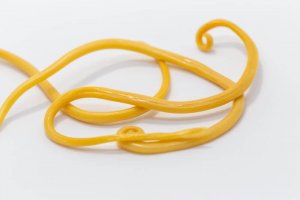 Rode uien om darmwormen te bestrijden