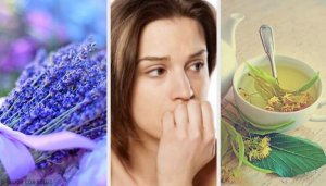 De 5 beste natuurlijke anxiolytica om angst te kalmeren
