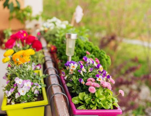 Bloemen in bloembakken aan het balkon