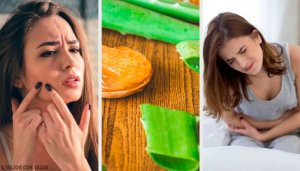 Gebruik aloëvera voor een betere gezondheid