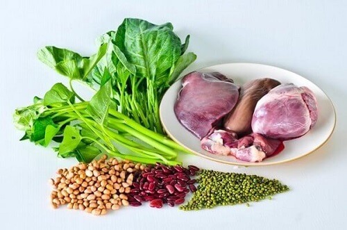 IJzer maakt hemoglobine aan