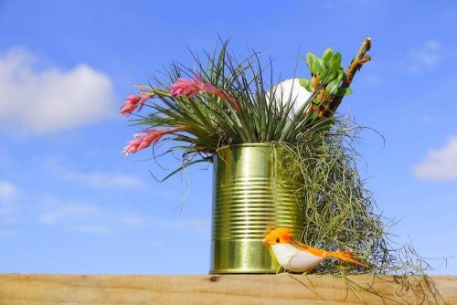 Planten groeien in een blik