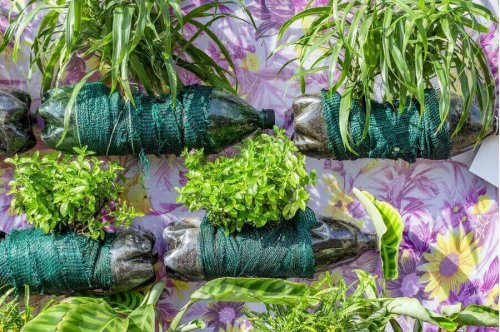 Plastic flessen met decoratie en planten