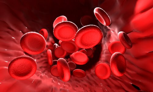 Wat is hemoglobine