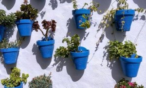 Bloempotten decoreren doe je zo