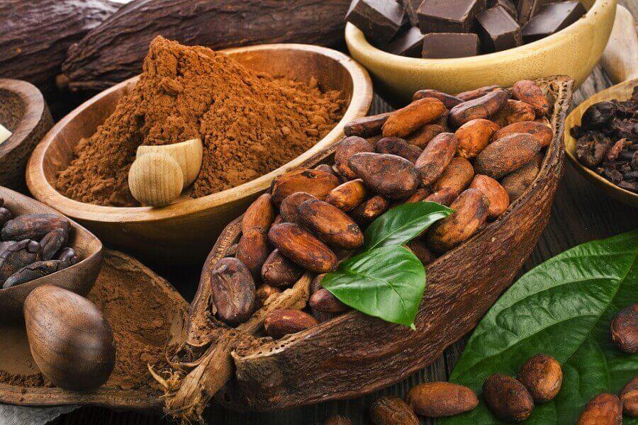 de krachtige antioxidanten in cacao
