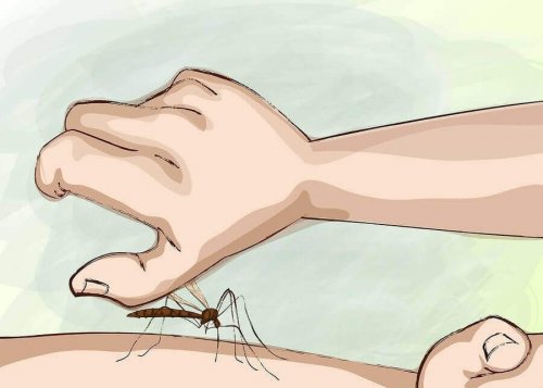 Hoe voorkom je muggenbeten tijdens je slaap?