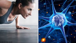 Je hormonen reguleren met lichaamsbeweging