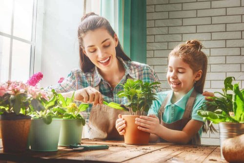 Kamerplanten die je gezonder zullen maken