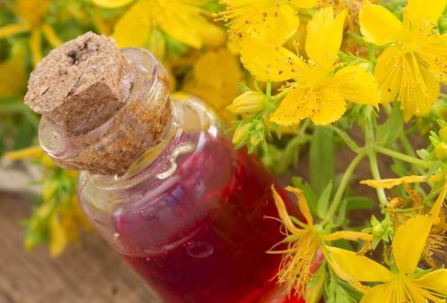 Olijfolie en sint-janskruid
