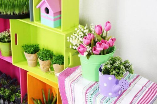 Planten op meubels