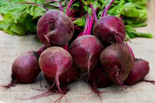 Rode bieten