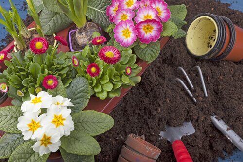 Tuin benodigdheden