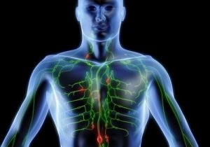 Plantaardige oplossingen om je lymfestelsel te reinigen