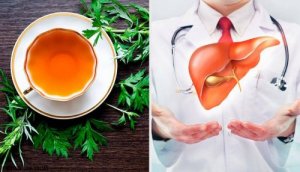 9 eigenschappen van alsem voor een gezonde lever