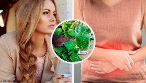 Hoe gebruik je brandnetel en versterk je de werking?