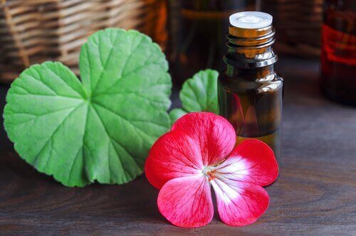 Aromatherapie