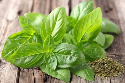 Basilicumblaadjes