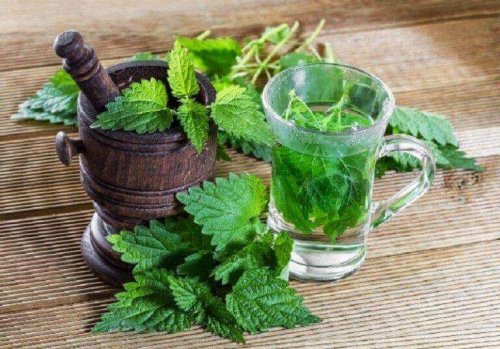 brandnetel is een van de natuurlijk middeltjes tegen prostaatproblemen
