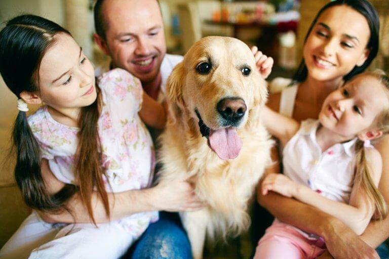 De voordelen van een huisdier in de familie