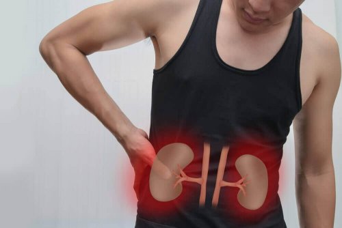 voordelen van niertransplantaties