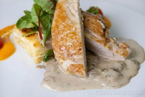 Probeer dit recept voor kip in kaassaus