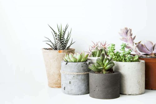 Kleine bloempotten