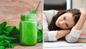 Vermoeidheid en depressie bestrijden met basilicum