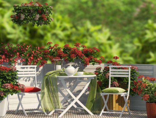 Tuin op je terras
