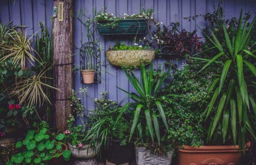 4 ontwerpen voor zelfgemaakte groentetuintjes