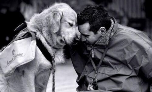 ze hebben een positieve invloed op je mentale gesteldheid