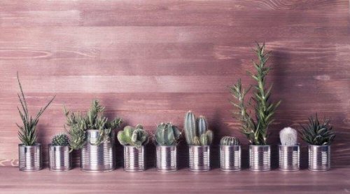 Aluminium blikken hergebruiken: drie ideeën