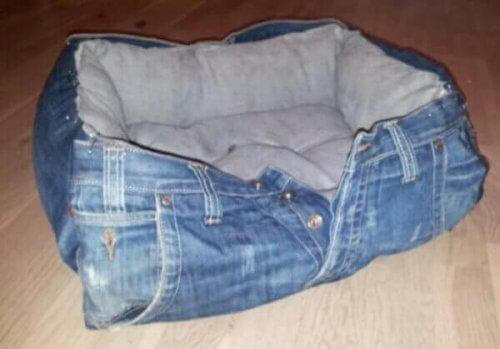 Bed voor je huisdier