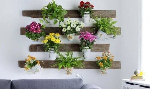 Bacteriën zuiveren met planten